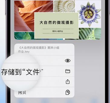 东方华侨农场apple维修中心分享iPhone文件应用中存储和找到下载文件