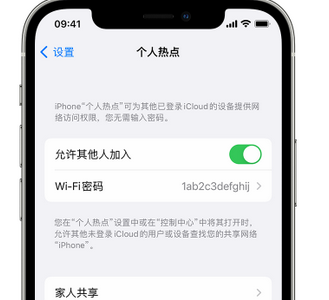 东方华侨农场apple服务站点分享iPhone上个人热点丢失了怎么办 