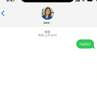 东方华侨农场apple维修iPhone上无法正常发送iMessage信息