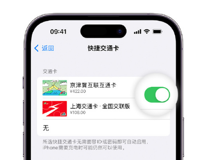 东方华侨农场apple维修点分享iPhone上更换Apple Pay快捷交通卡手绘卡面 