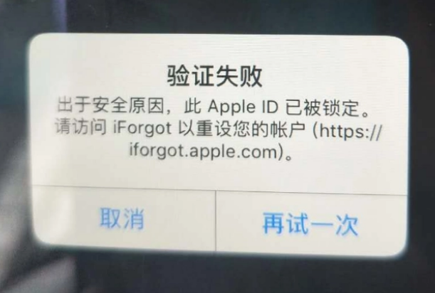 东方华侨农场iPhone维修分享iPhone上正常登录或使用AppleID怎么办 