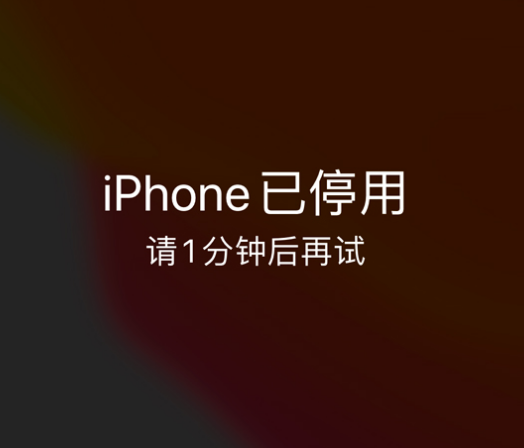 东方华侨农场苹果手机维修分享:iPhone 显示“不可用”或“已停用”怎么办？还能保留数据吗？ 