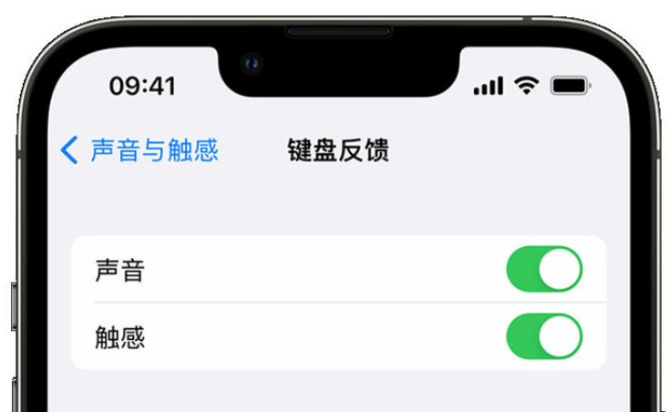 东方华侨农场苹果手机维修分享iPhone 14触感键盘使用方法 