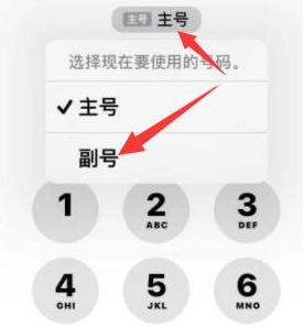 东方华侨农场苹果14维修店分享iPhone 14 Pro Max使用副卡打电话的方法 