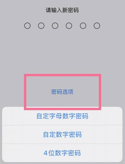 东方华侨农场苹果14维修分享iPhone 14plus设置密码的方法 