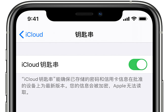 东方华侨农场苹果手机维修分享在 iPhone 上开启 iCloud 钥匙串之后会储存哪些信息 