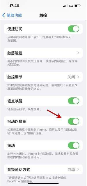 东方华侨农场苹果手机维修分享iPhone手机如何设置摇一摇删除文字 