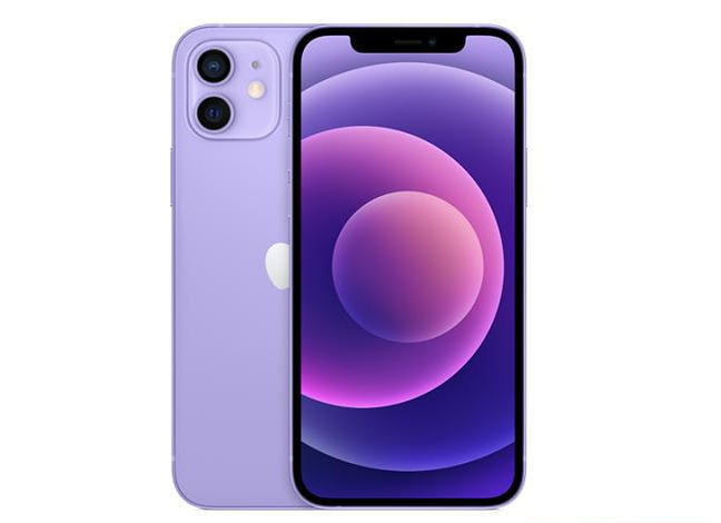 东方华侨农场苹果手机维修分享现阶段要不要入手紫色版iPhone12 